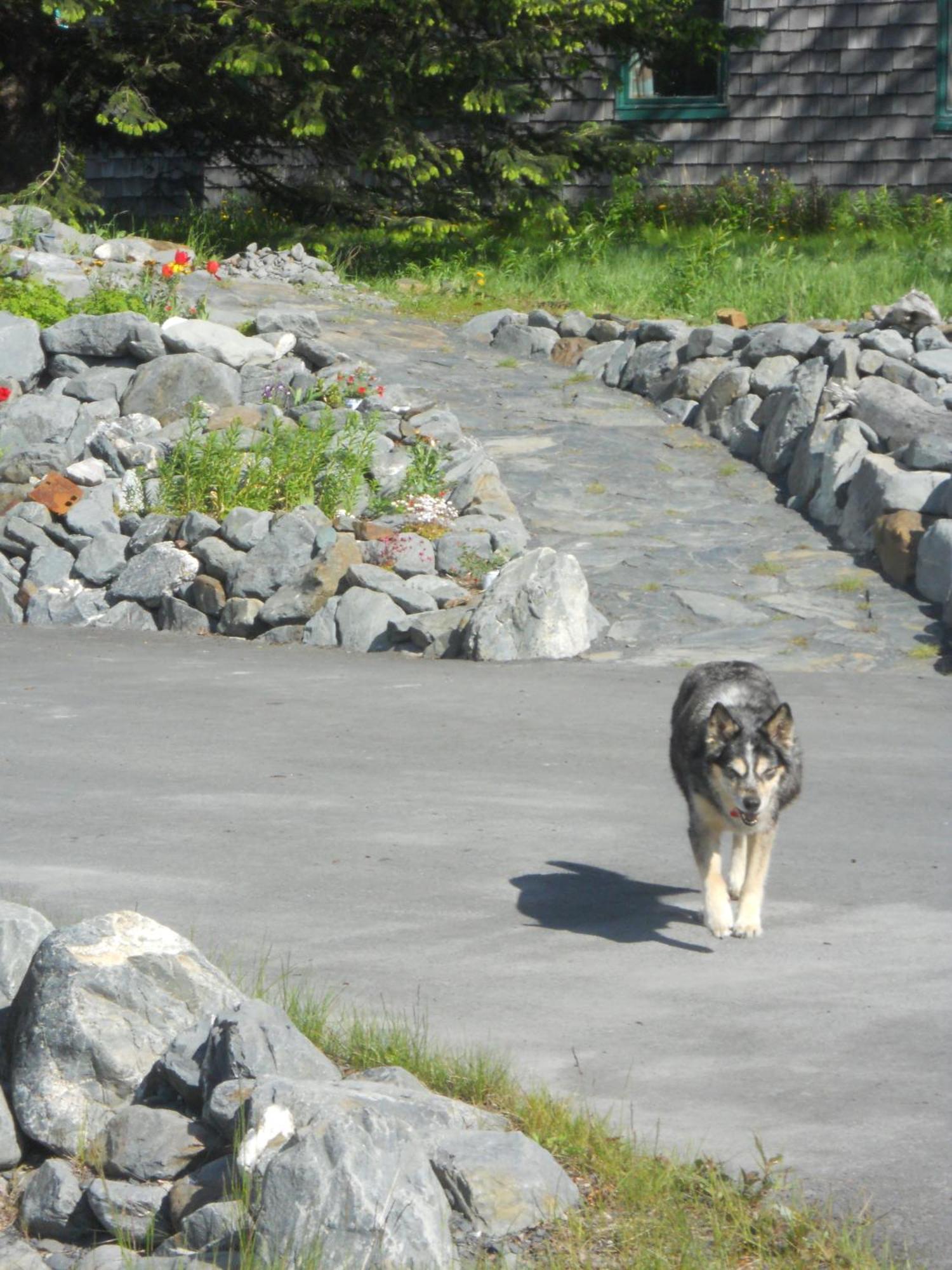 Seward Front Row Bed And Breakfast ภายนอก รูปภาพ